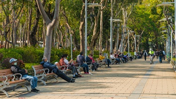 維多利亞公園設計精良，有充足的長椅供社區使用，這種不可或缺的公園設施可以增加社交互動並增強社區意識。